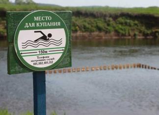 Работники ОСВОД за один день спасли семь человек.