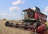 Формула рекордного каравая Формула рекордного каравая