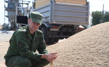 Жатва в погонах. Как помогают на уборке военнослужащие