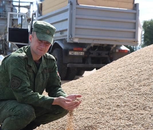 Жатва в погонах. Как помогают на уборке военнослужащие