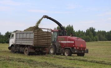 Аграрии Мстиславщины убирают травы второго укоса
