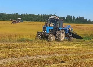 Уборка льна. Как труженики ОАО «Мстиславльлён» ведут теребление зеленца