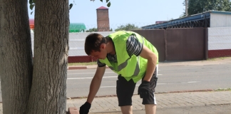 Школьники Мстиславля помогают в благоустройстве дворов