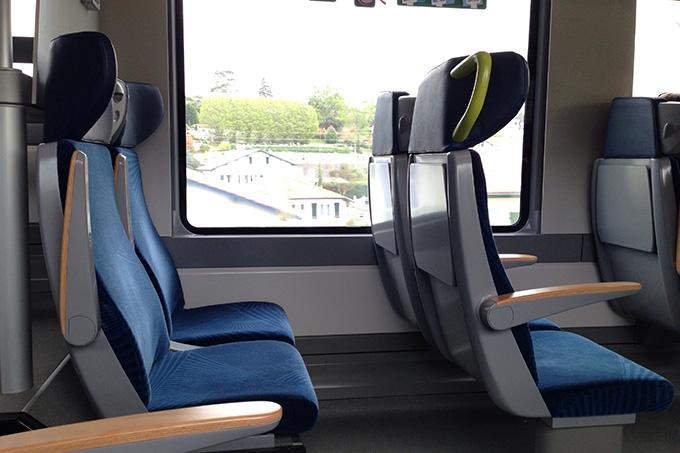 mfm8-train-729018 Минтруда объяснило, сколько выплатят за проезд в командировке без билетов