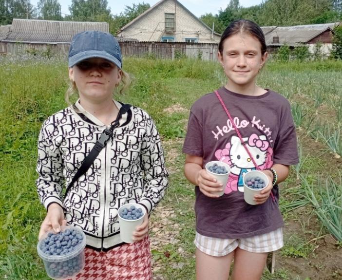 В Ходосовской школе собрали первый урожай голубики
