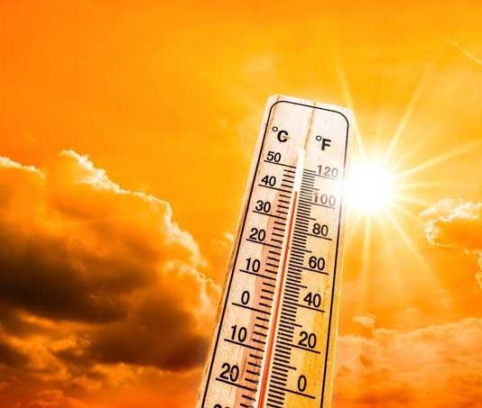 Красный уровень опасности: в Беларусь идёт жара до +38°C.