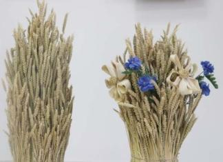 Руководство района с районным праздником «Дажынкі-2026»