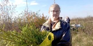 Юные лесоводы высадили около 2000 елей в Мстиславском районе.