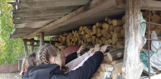 Как мстиславские волонтёры помогают пожилым людям
